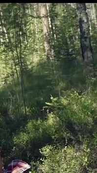 Sanktor - Tetona MILF Solo Masturbación En El Bosque