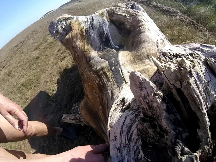 Andy: Walk in November