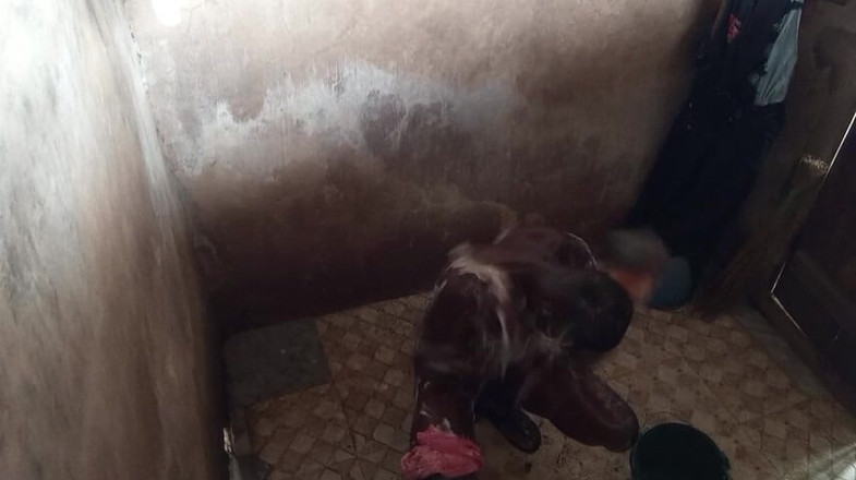 Moviesporn1: 이제 내 작품에서 이번에는 내 뚱뚱한 자지를 식히는 데 사용