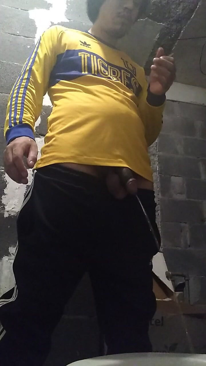 AlexAlejandro13: शौचालय में एक मेडा