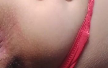 Plug Anal