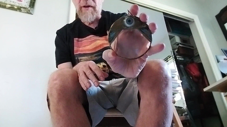 Hairyartist: Mengecut abang besar