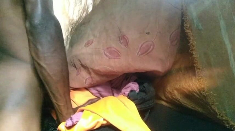 Bangcum8: Un garçon baise sa chatte gratuite et jouit très bien