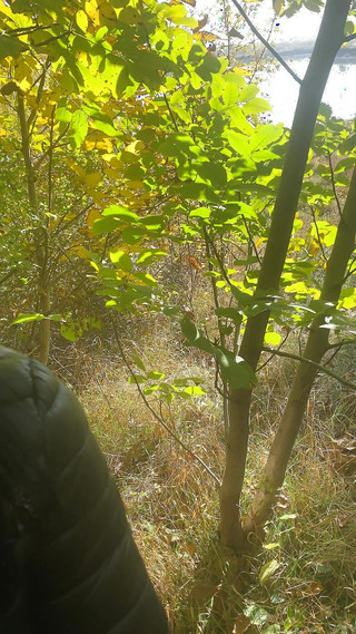 MilfyCalla: 熟女的冒险第19集钓鱼点