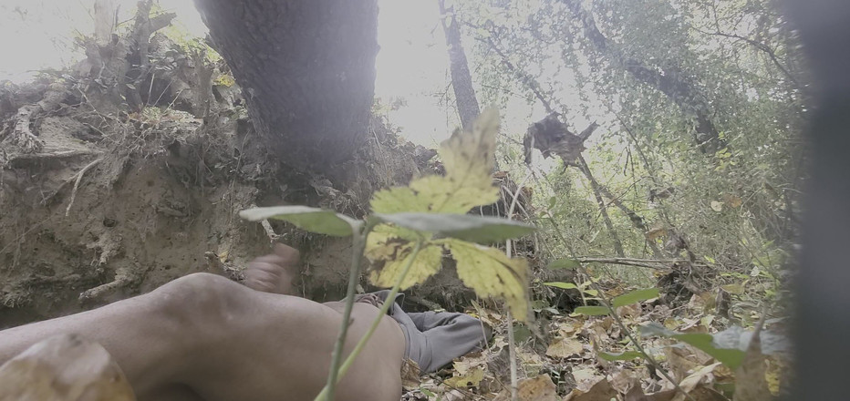 Dreamyasswonder: Kali pertama bermain di taman