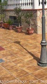Một người lạ tiếp cận tôi trong công viên trong khi tôi đang có một cuộc triển lãm nhỏ.