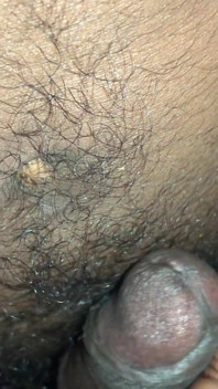 World Best Big Cock Young Bull Master Handjob New Video in a Toilet