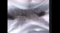 Vintage Megastore Full hd: Pożądliwi