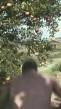 Palpitante polla garganta profunda al aire libre - abultamiento de garganta y culo lamiendo frenesí