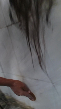 Caught Maid Naked Whilst Cleaning the Washroom