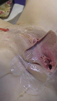 3 Licking Pussy Spread Far From Very Close