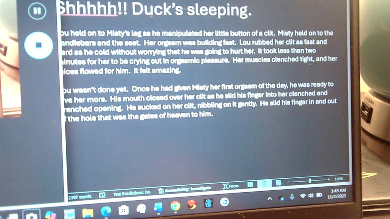 Mistress_T_FD_GD: Nanowrimo Ziua 2