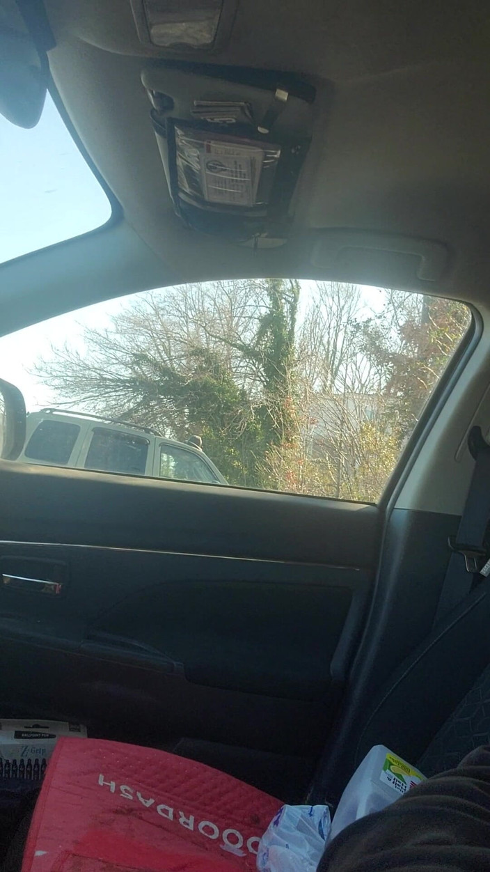 Djk31314: Roztomilá hnědá ponožka honí.