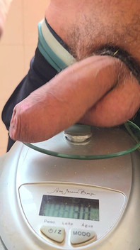 How Much Does an Real Alpha Cock Weigh?