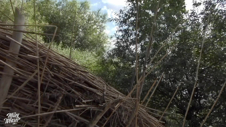 Miley Weasel: Oh tidak!! Jurugambar memancut segala-galanya dalam pepek saya!!