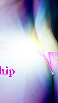 Lady Angela Bodywortship 핑크 란제리 효과