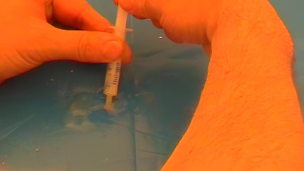 Mark Hannes: Fleshlight table šukání masturbace