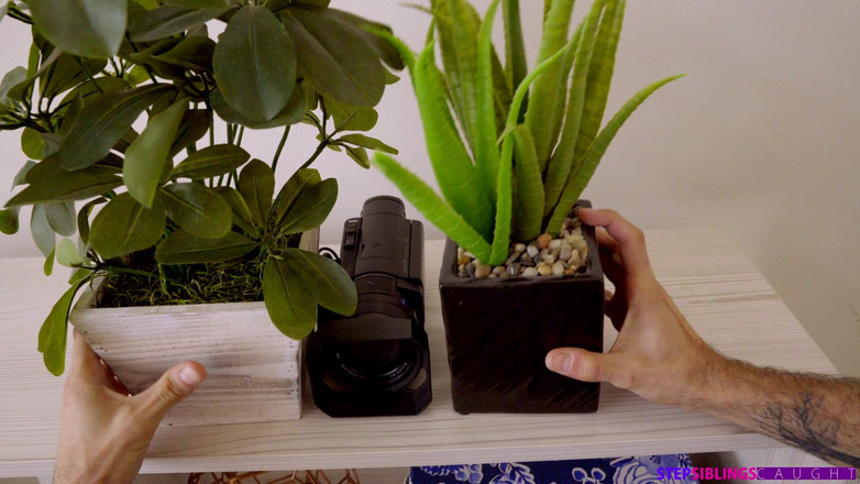 StepSiblings Caught: Сводную сестру застукали перед камерой - S10e1