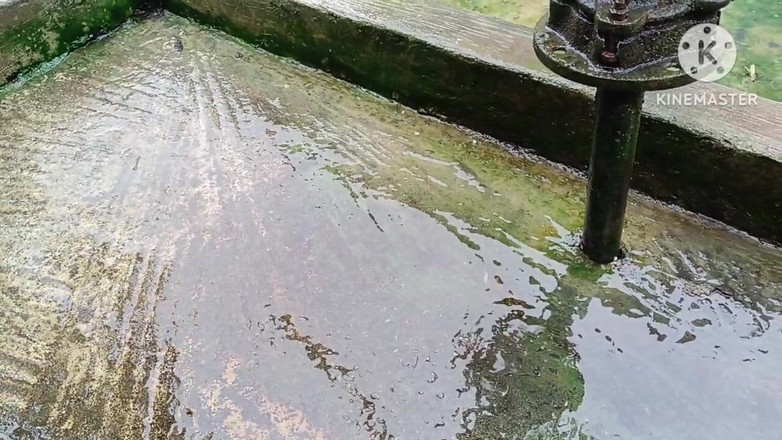 Nenika: Desi bhabhi menyetubuhi memeknya dengan pin yang menggulung