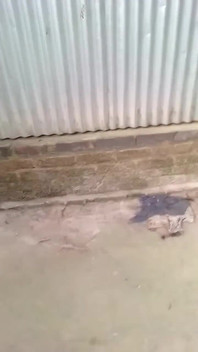 Village Girl's Bathing Video