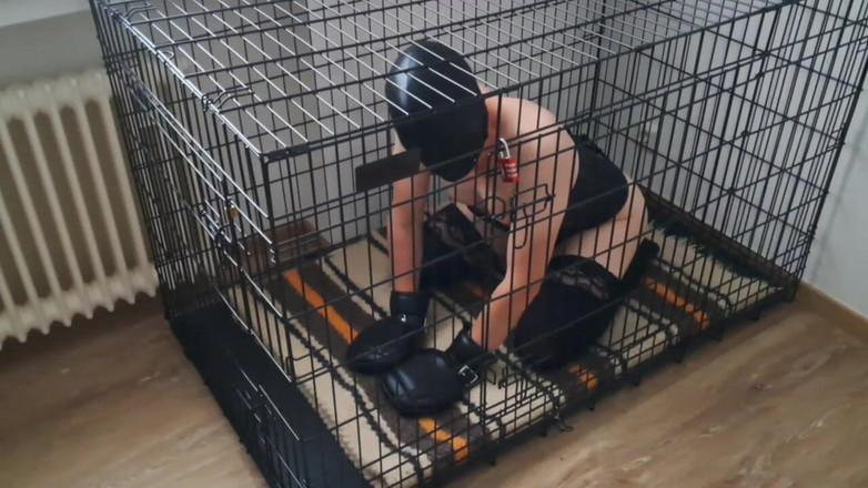 2GirlTs1Cock: Cudnost dráždění - Paní se směje, protože zavřená sissy nemůže uspokojit...