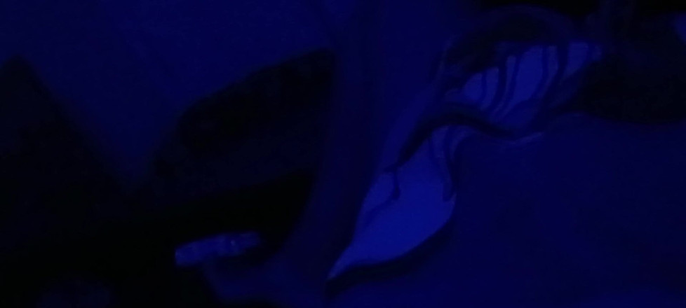Blue rose: เมฆในหี