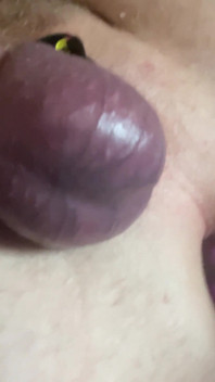Huge Dildo in Wet Ass