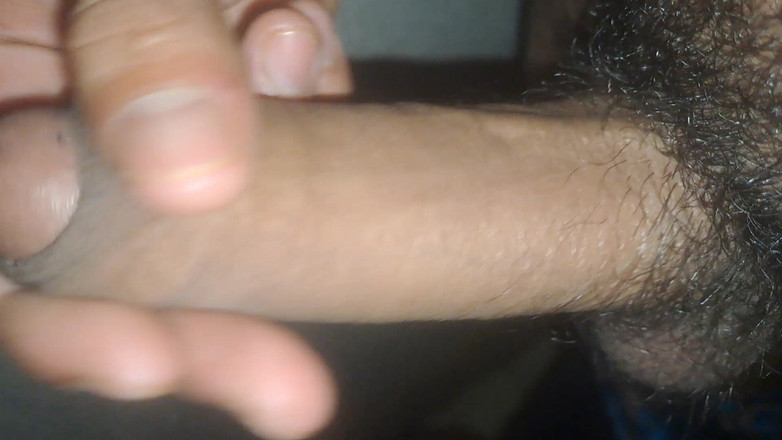 Kanvraj studio: Desi Cock