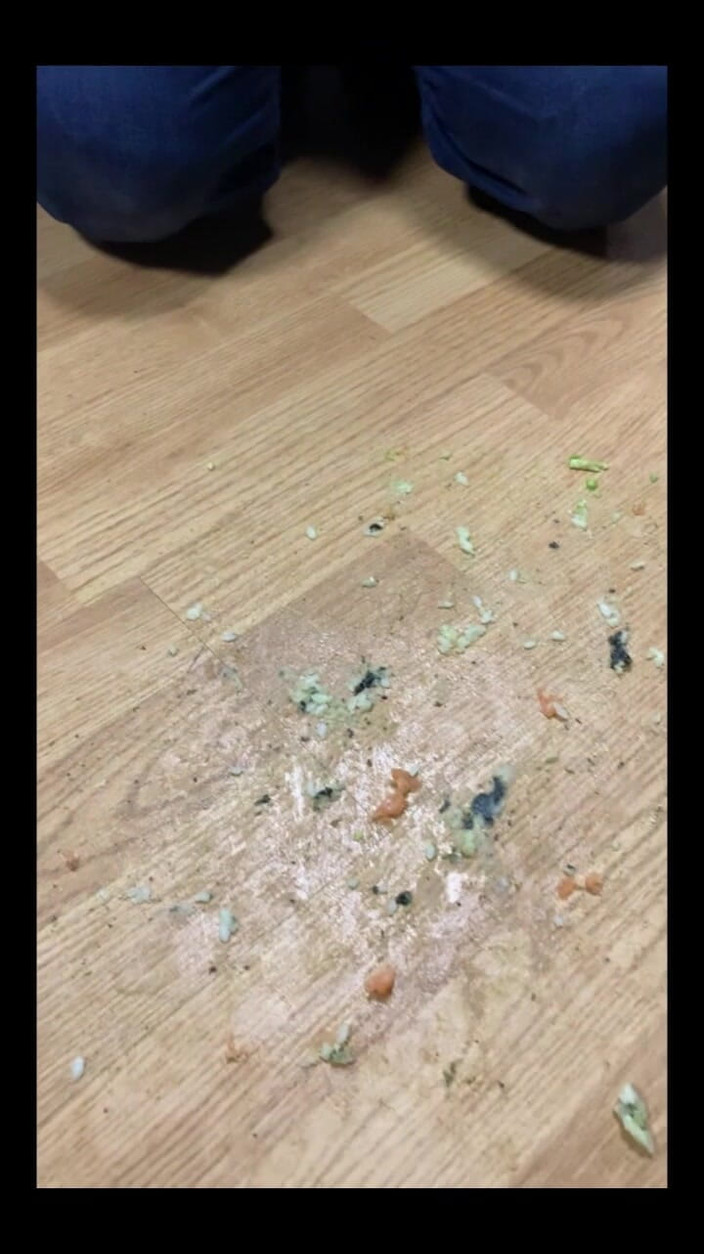 Maitresse Clara: Dia mengambil makanannya terima kasih kepada kaki saya...