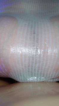 Asmr Titfuck v průhledném topu: velmi sladké a roztomilé asmr porno