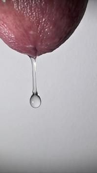 Penis Tropft