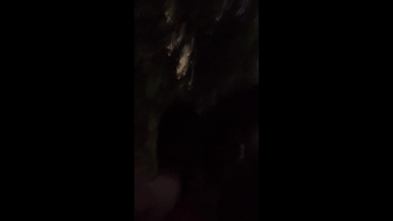 megu2002: स्वतंत्र प्रशिक्षण No22 शाम के समय सड़क के साथ एक्सपोजर वॉक