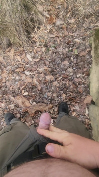 Piss in the Woods