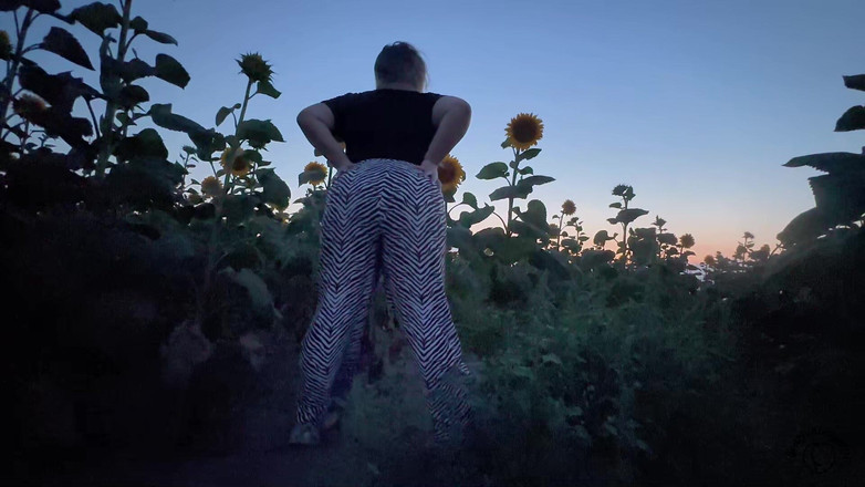 Your fantasy studio: Zonneschijn scheetkoningin - veld van stinkende bloemen
