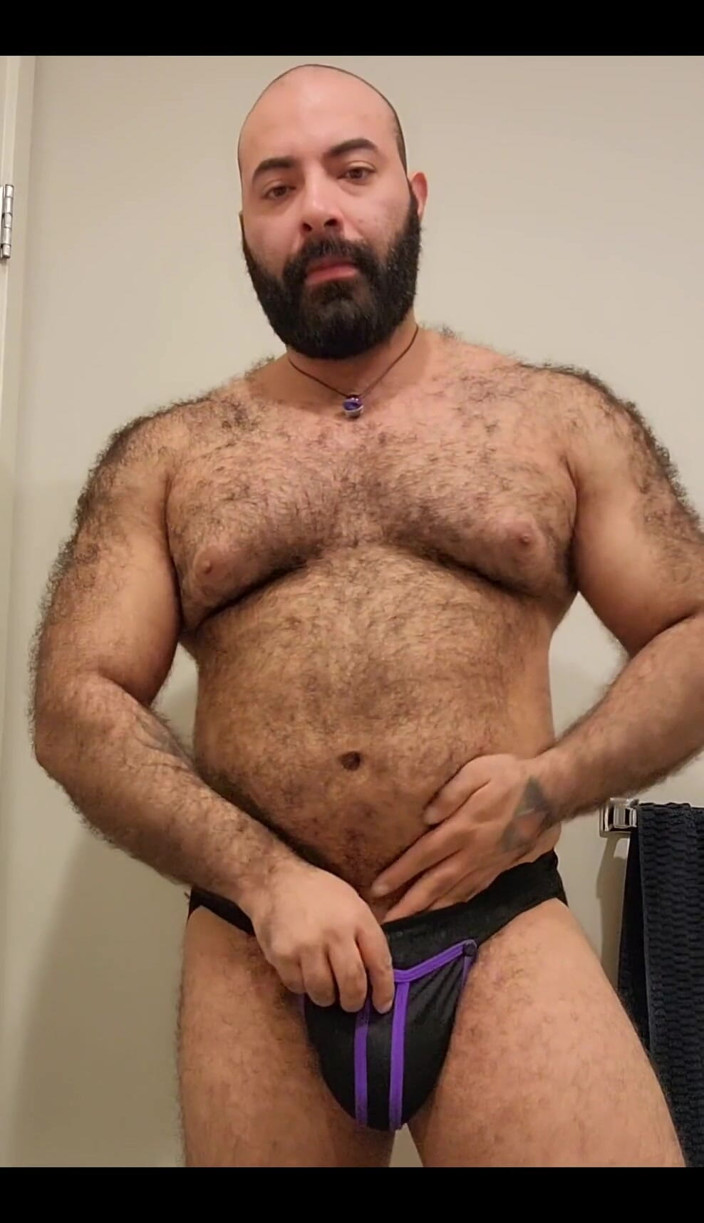 Lobo: Bear Is Here
