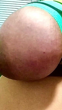 Latihan besar hucow udders