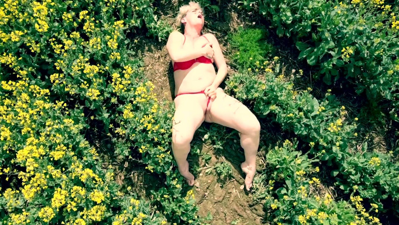 Kylie Britain Adventures: Vista de pájaros