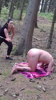 Cane Strokes in the Forest 1