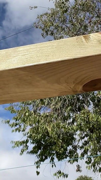 Naked Woodworking in My Shared Access, Very Overlooked Garden That 5 Sets of Neighbours Can See Into!