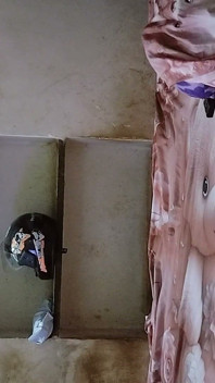Show My Little Ass Hole
