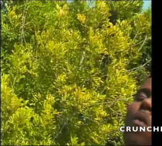 Bitch Girl Video: Vintage porn fucked bareback outdoor by amazing XXL black cock