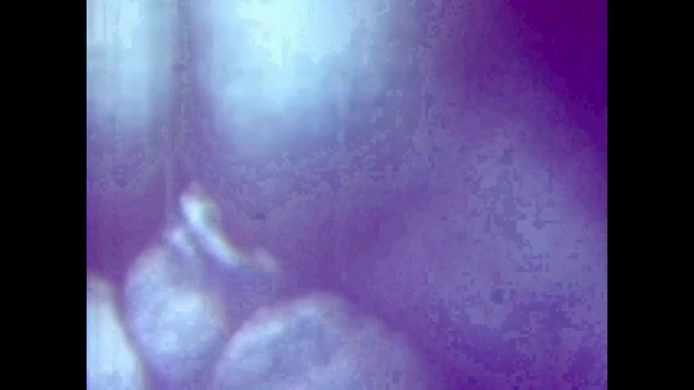 Vintage megastore: El Prostituto Puerco Sucio