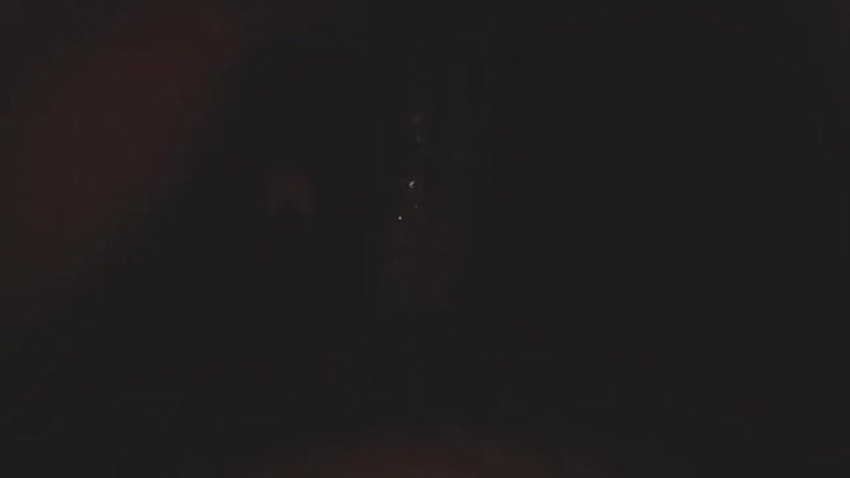 PARAMANANDA: 夜にすすり、愛する妻よ