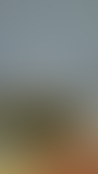 Sunny Day: Sublime, Gorgeous, a Hot Young Girl Fucked Hard