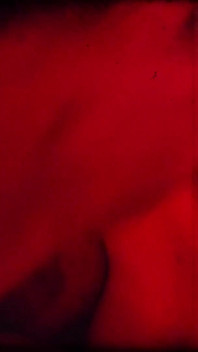 Enano especial de luz roja completo