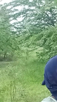 Desi Village Bhabhis heta knull i djungeln