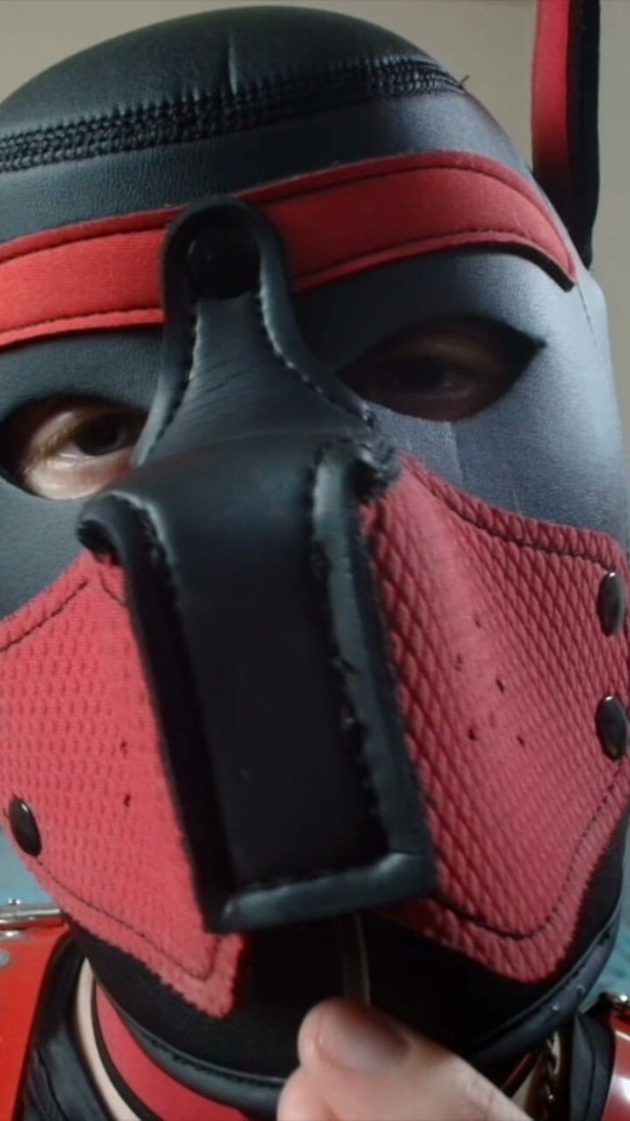 Alex GoodBoy: Pup Sucks His Lollipop up Close