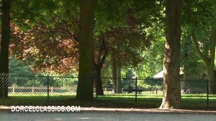Dorcel classics: Lovers have a quicky in the park