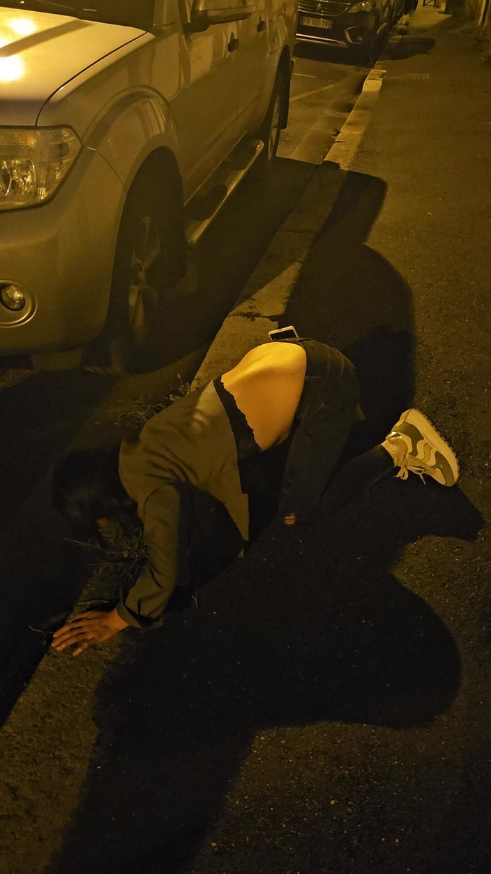 J and rose: Schoonheidsslet huisdier