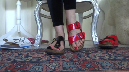 Lady Victoria Valente: Birkis Slippers Show 4 pairs of Birkis in comparison